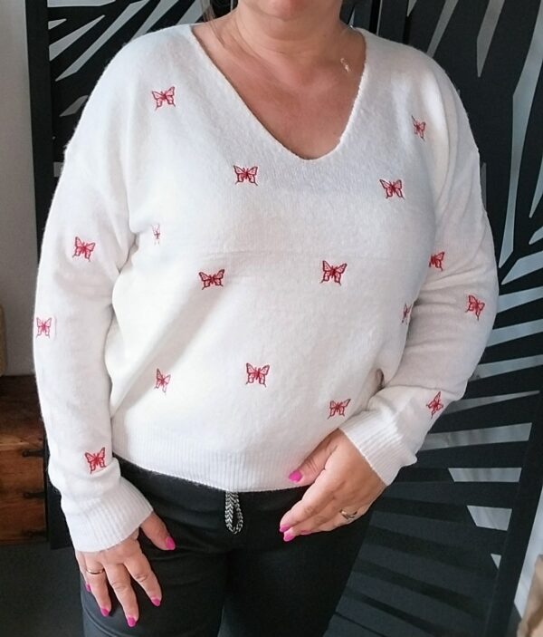 Pull papillons
